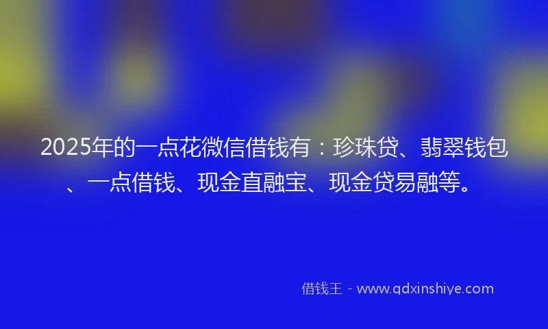 2025年的一点花微信借钱有：珍珠贷、翡翠钱包、一点借钱、现金直融宝、现金贷易融等。