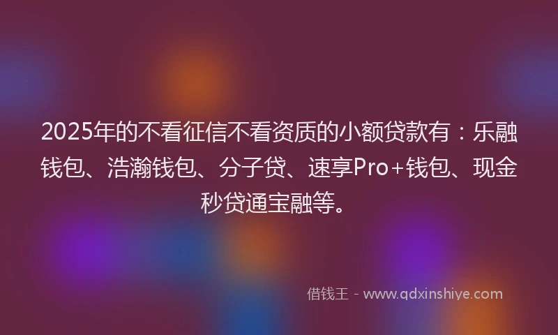 2025年的不看征信不看资质的小额贷款有：乐融钱包、浩瀚钱包、分子贷、速享Pro+钱包、现金秒贷通宝融等。