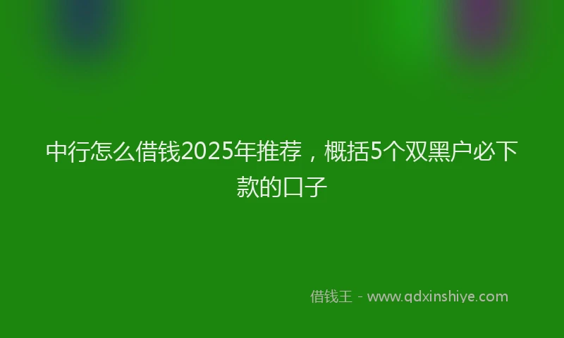 中行怎么借钱2025年推荐，概括5个双黑户必下款的口子