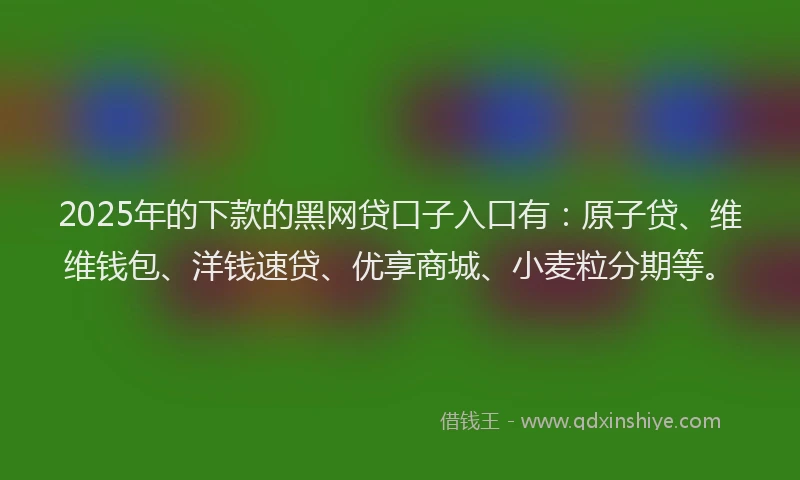 2025年的下款的黑网贷口子入口有：原子贷、维维钱包、洋钱速贷、优享商城、小麦粒分期等。