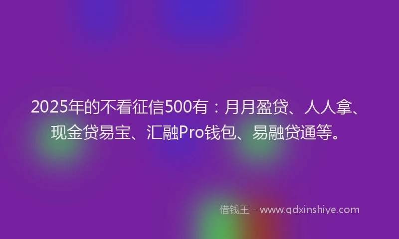 2025年的不看征信500有：月月盈贷、人人拿、现金贷易宝、汇融Pro钱包、易融贷通等。