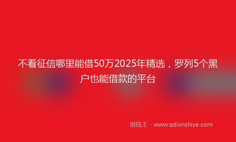 不看征信哪里能借50万2025年精选，罗列5个黑户也能借款的平台