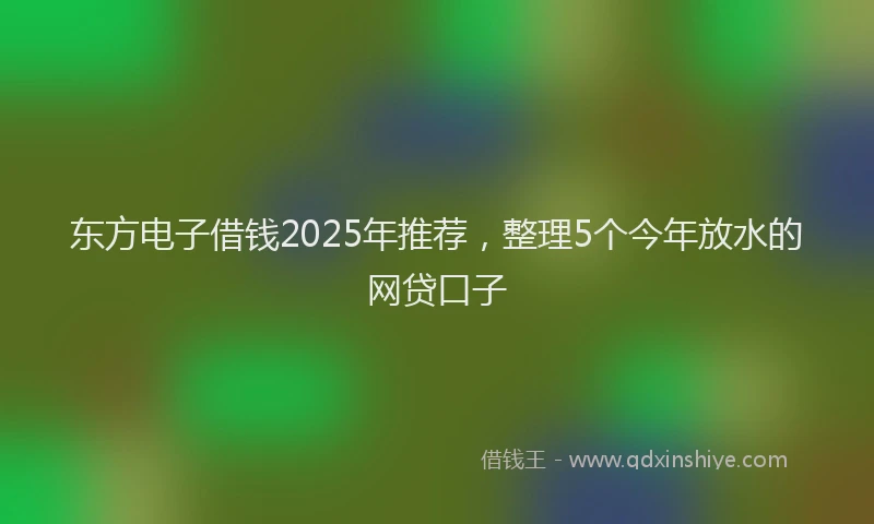 东方电子借钱2025年推荐，整理5个今年放水的网贷口子