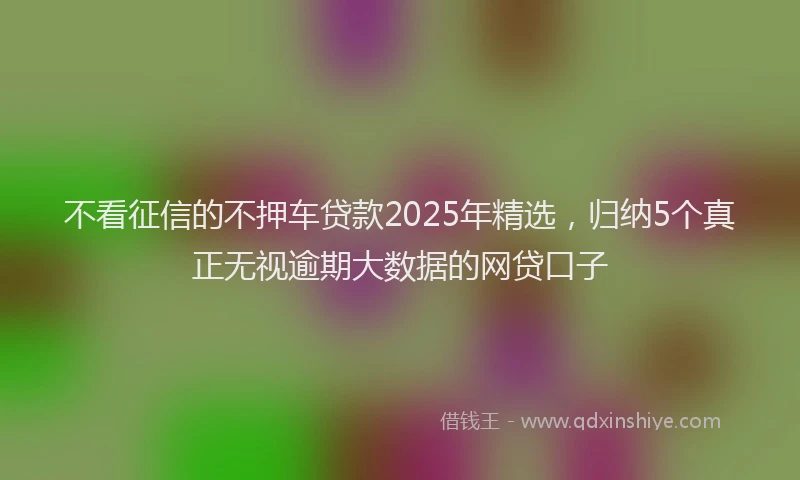 不看征信的不押车贷款2025年精选，归纳5个真正无视逾期大数据的网贷口子