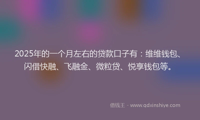 2025年的一个月左右的贷款口子有：维维钱包、闪借快融、飞融金、微粒贷、悦享钱包等。