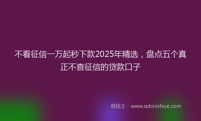 不看征信一万起秒下款2025年精选，盘点五个真正不查征信的贷款口子