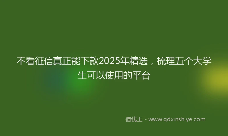 不看征信真正能下款2025年精选,梳理五个大学生可以使用的平台