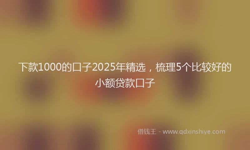 下款1000的口子2025年精选，梳理5个比较好的小额贷款口子