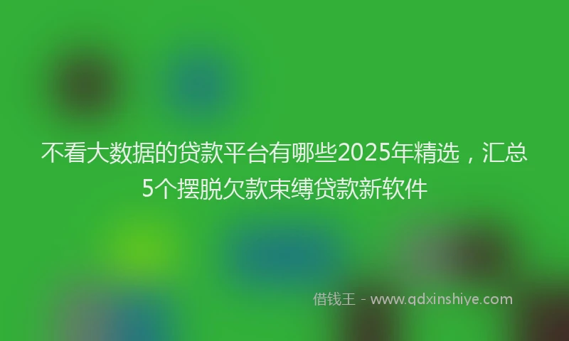 不看大数据的贷款平台有哪些2025年精选，汇总5个摆脱欠款束缚贷款新软件