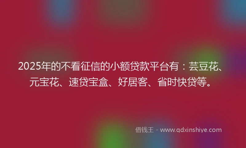 2025年的不看征信的小额贷款平台有：芸豆花、元宝花、速贷宝盒、好居客、省时快贷等。