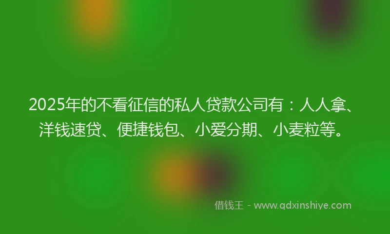 2025年的不看征信的私人贷款公司有：人人拿、洋钱速贷、便捷钱包、小爱分期、小麦粒等。