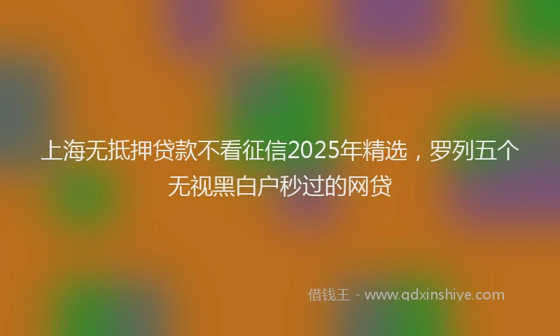 上海无抵押贷款不看征信2025年精选，罗列五个无视黑白户秒过的网贷