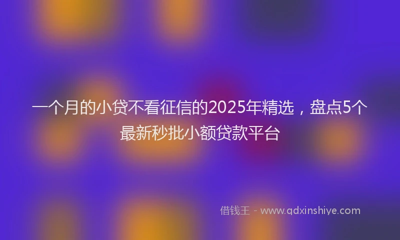 一个月的小贷不看征信的2025年精选，盘点5个最新秒批小额贷款平台