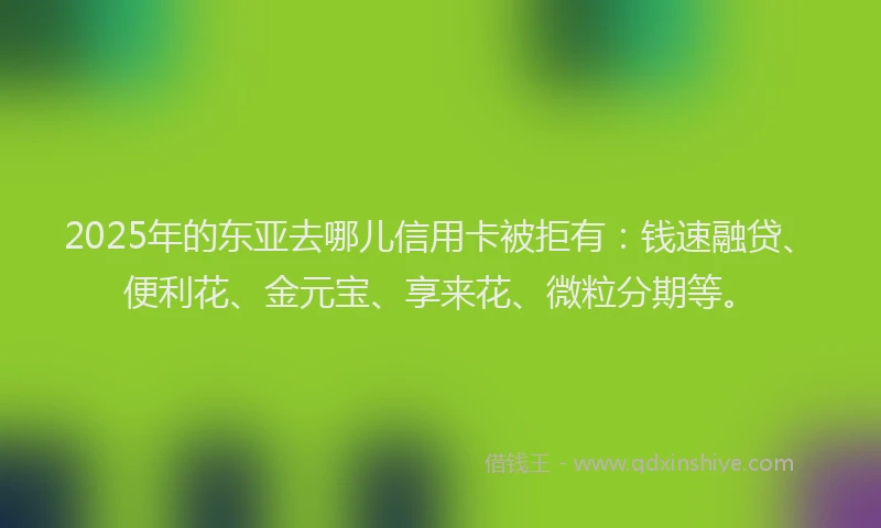 2025年的东亚去哪儿信用卡被拒有：钱速融贷、便利花、金元宝、享来花、微粒分期等。