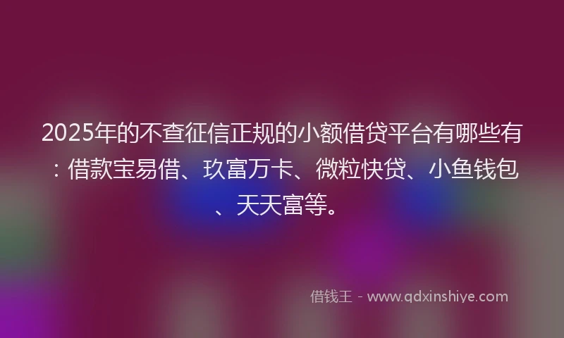 2025年的不查征信正规的小额借贷平台有哪些有：借款宝易借、玖富万卡、微粒快贷、小鱼钱包、天天富等。