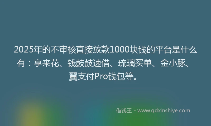 2025年的不审核直接放款1000块钱的平台是什么有:享来花、钱鼓鼓速借、琉璃买单、金小豚、翼支付Pro钱包等。