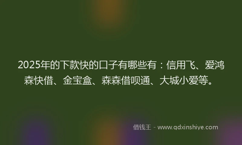 2025年的下款快的口子有哪些有：信用飞、爱鸿森快借、金宝盒、森森借呗通、大城小爱等。