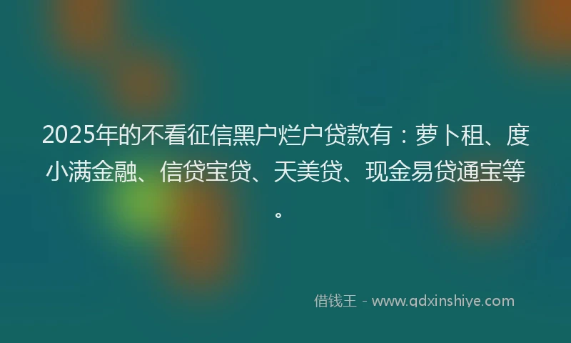 2025年的不看征信黑户烂户贷款有：萝卜租、度小满金融、信贷宝贷、天美贷、现金易贷通宝等。
