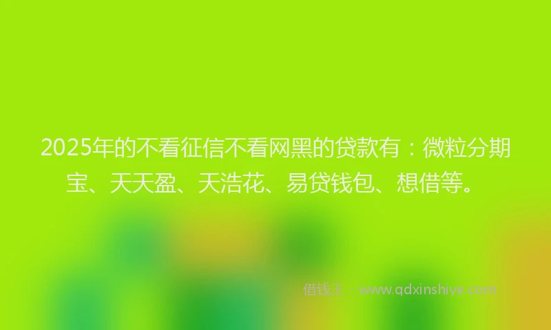 2025年的不看征信不看网黑的贷款有：微粒分期宝、天天盈、天浩花、易贷钱包、想借等。