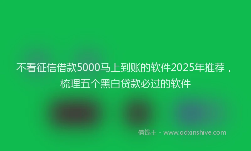 不看征信借款5000马上到账的软件2025年推荐，梳理五个黑白贷款必过的软件
