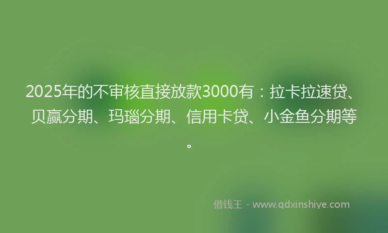 2025年的不审核直接放款3000有：拉卡拉速贷、贝赢分期、玛瑙分期、信用卡贷、小金鱼分期等。