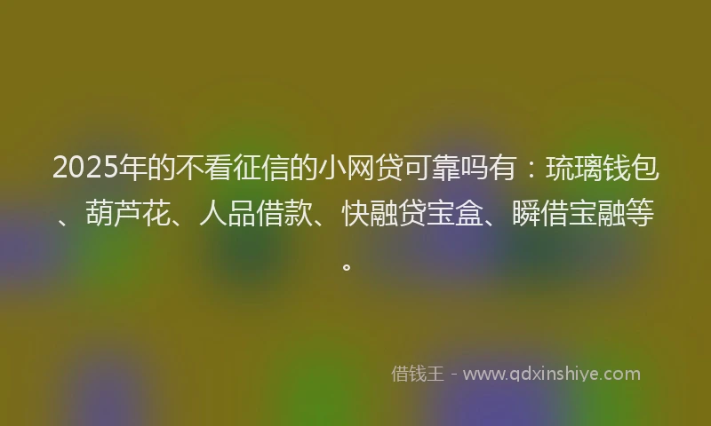 2025年的不看征信的小网贷可靠吗有：琉璃钱包、葫芦花、人品借款、快融贷宝盒、瞬借宝融等。