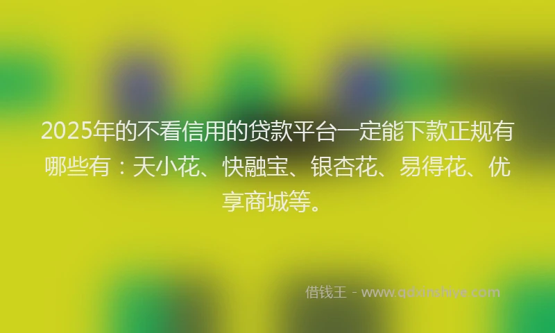 2025年的不看信用的贷款平台一定能下款正规有哪些有：天小花、快融宝、银杏花、易得花、优享商城等。