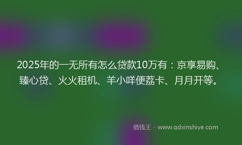 2025年的一无所有怎么贷款10万有：京享易购、臻心贷、火火租机、羊小咩便荔卡、月月开等。