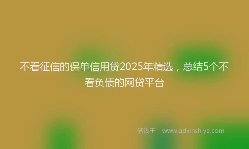 不看征信的保单信用贷2025年精选，总结5个不看负债的网贷平台