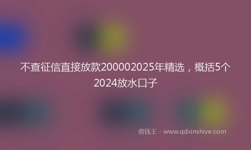 不查征信直接放款200002025年精选，概括5个2024放水口子