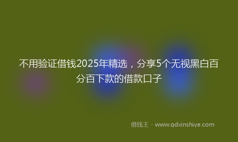 不用验证借钱2025年精选，分享5个无视黑白百分百下款的借款口子