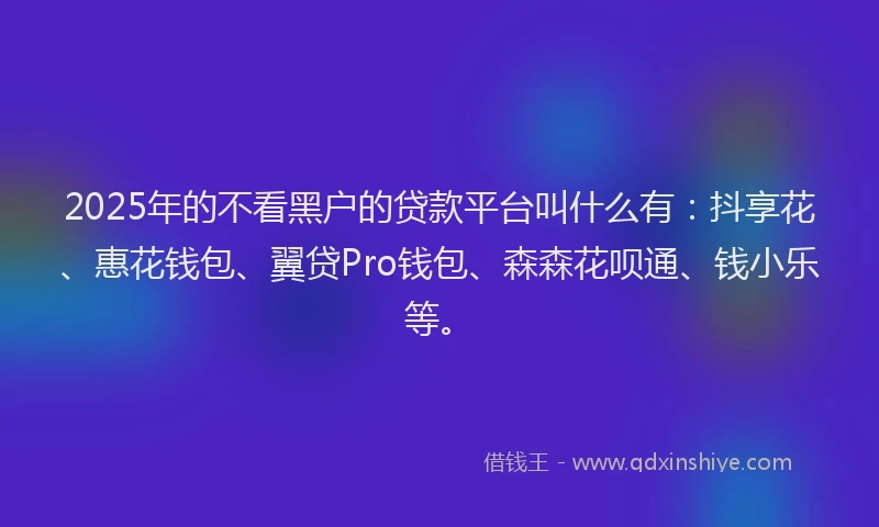 2025年的不看黑户的贷款平台叫什么有：抖享花、惠花钱包、翼贷Pro钱包、森森花呗通、钱小乐等。