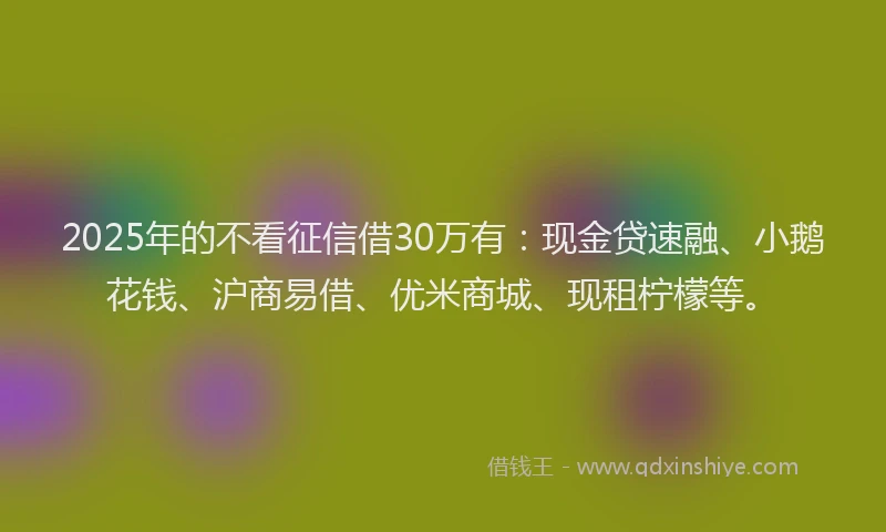 2025年的不看征信借30万有：现金贷速融、小鹅花钱、沪商易借、优米商城、现租柠檬等。