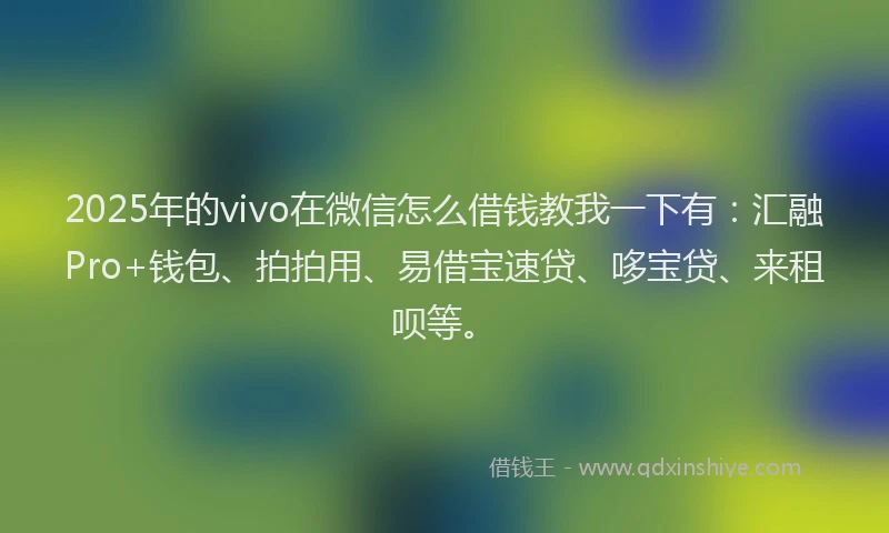 2025年的vivo在微信怎么借钱教我一下有：汇融Pro+钱包、拍拍用、易借宝速贷、哆宝贷、来租呗等。