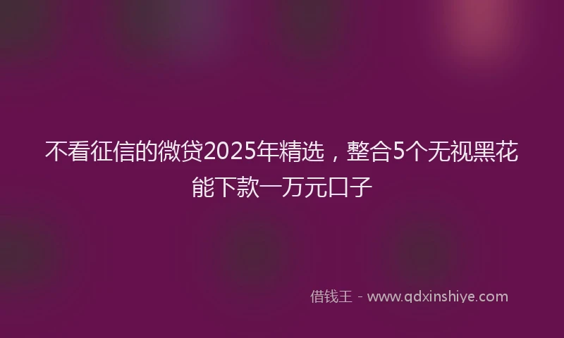 不看征信的微贷2025年精选，整合5个无视黑花能下款一万元口子