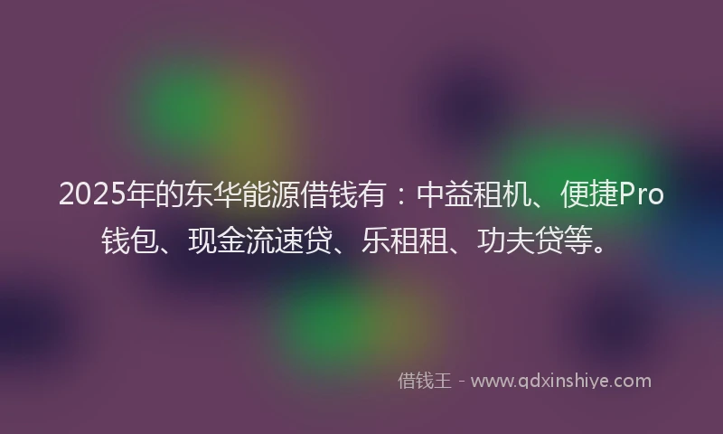 2025年的东华能源借钱有：中益租机、便捷Pro钱包、现金流速贷、乐租租、功夫贷等。