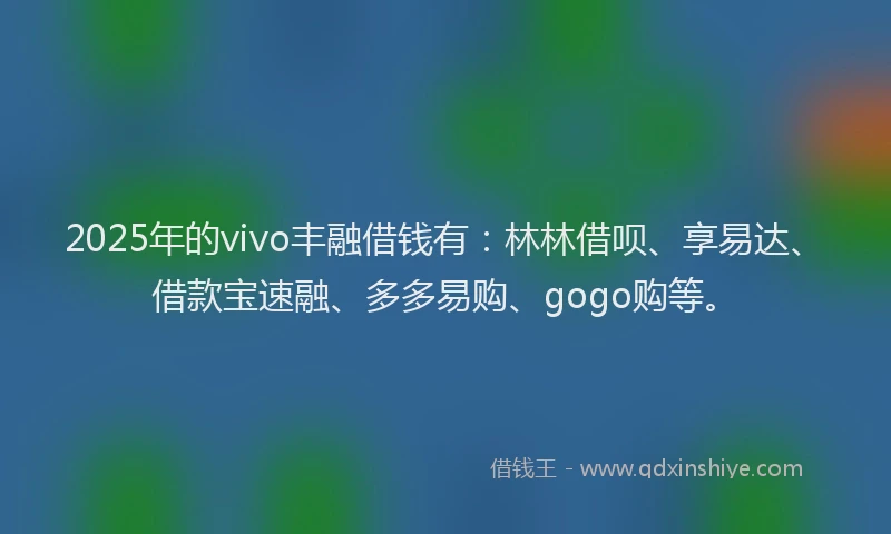 2025年的vivo丰融借钱有：林林借呗、享易达、借款宝速融、多多易购、gogo购等。