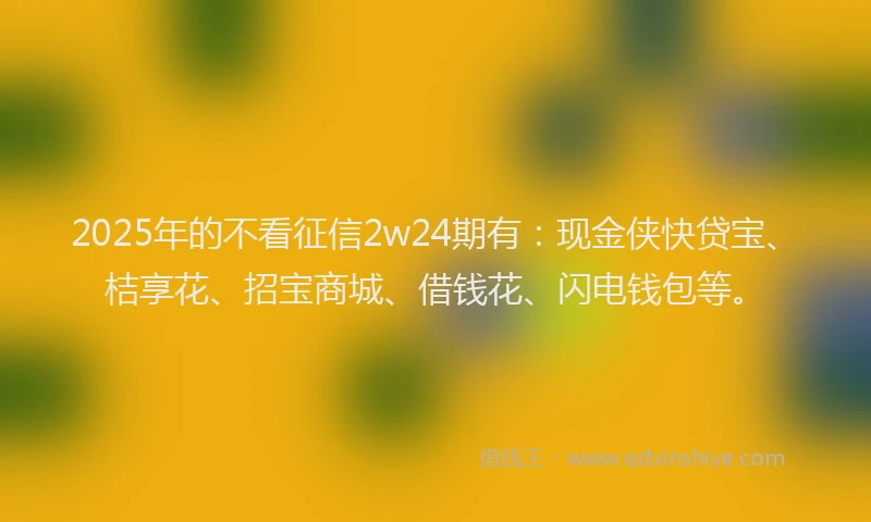 2025年的不看征信2w24期有：现金侠快贷宝、桔享花、招宝商城、借钱花、闪电钱包等。