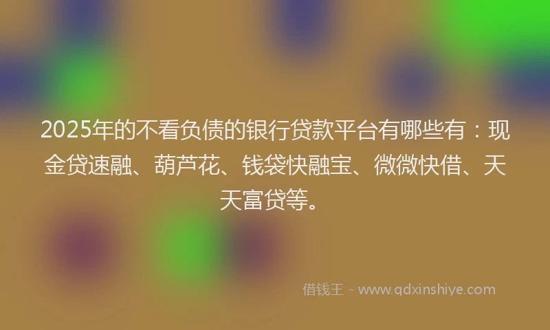 2025年的不看负债的银行贷款平台有哪些有：现金贷速融、葫芦花、钱袋快融宝、微微快借、天天富贷等。