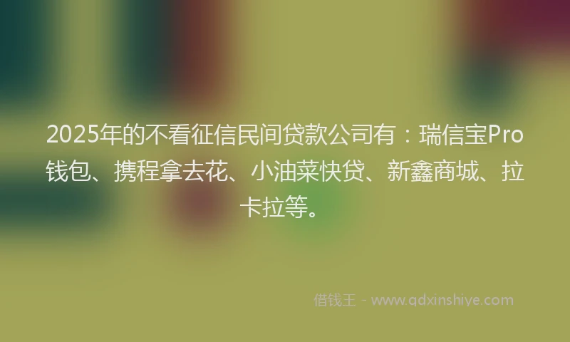 2025年的不看征信民间贷款公司有：瑞信宝Pro钱包、携程拿去花、小油菜快贷、新鑫商城、拉卡拉等。