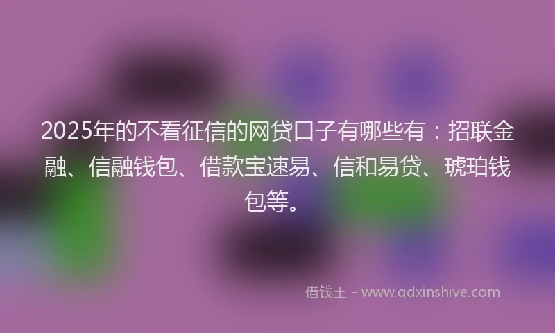 2025年的不看征信的网贷口子有哪些有：招联金融、信融钱包、借款宝速易、信和易贷、琥珀钱包等。