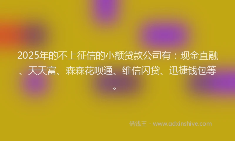 2025年的不上征信的小额贷款公司有：现金直融、天天富、森森花呗通、维信闪贷、迅捷钱包等。