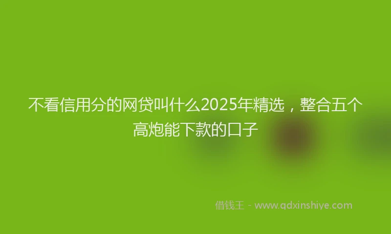 不看信用分的网贷叫什么2025年精选，整合五个高炮能下款的口子