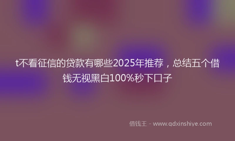 t不看征信的贷款有哪些2025年推荐，总结五个借钱无视黑白100%秒下口子