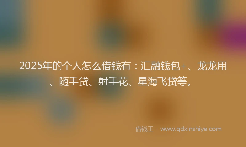 2025年的个人怎么借钱有：汇融钱包+、龙龙用、随手贷、射手花、星海飞贷等。