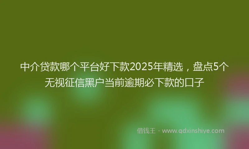 中介贷款哪个平台好下款2025年精选，盘点5个无视征信黑户当前逾期必下款的口子