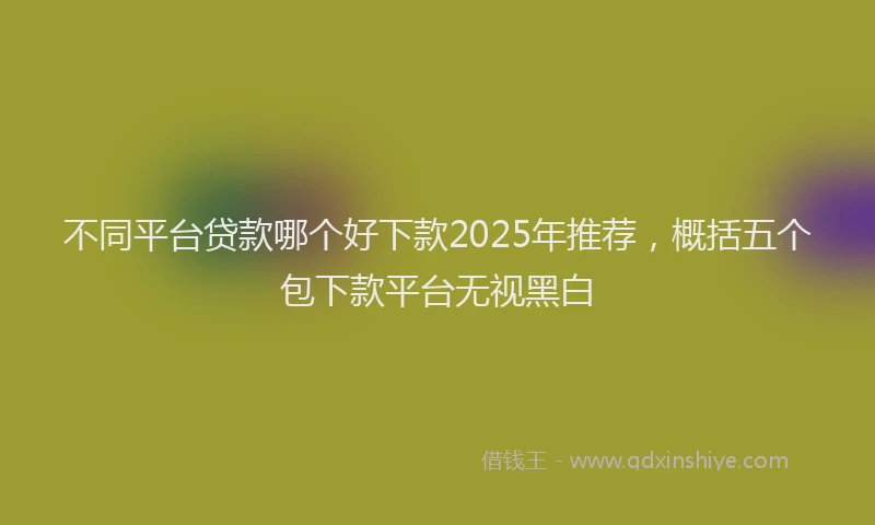 不同平台贷款哪个好下款2025年推荐，概括五个包下款平台无视黑白