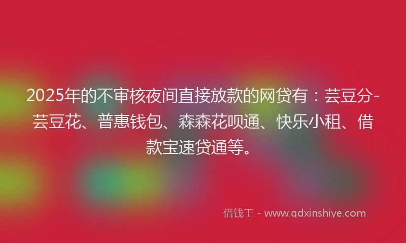 2025年的不审核夜间直接放款的网贷有：芸豆分-芸豆花、普惠钱包、森森花呗通、快乐小租、借款宝速贷通等。