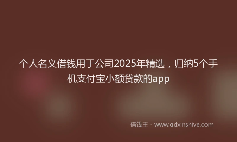 个人名义借钱用于公司2025年精选，归纳5个手机支付宝小额贷款的app