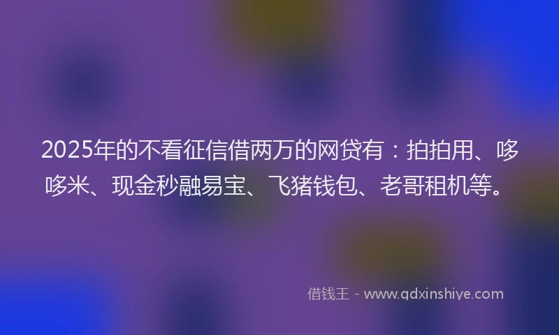 2025年的不看征信借两万的网贷有：拍拍用、哆哆米、现金秒融易宝、飞猪钱包、老哥租机等。
